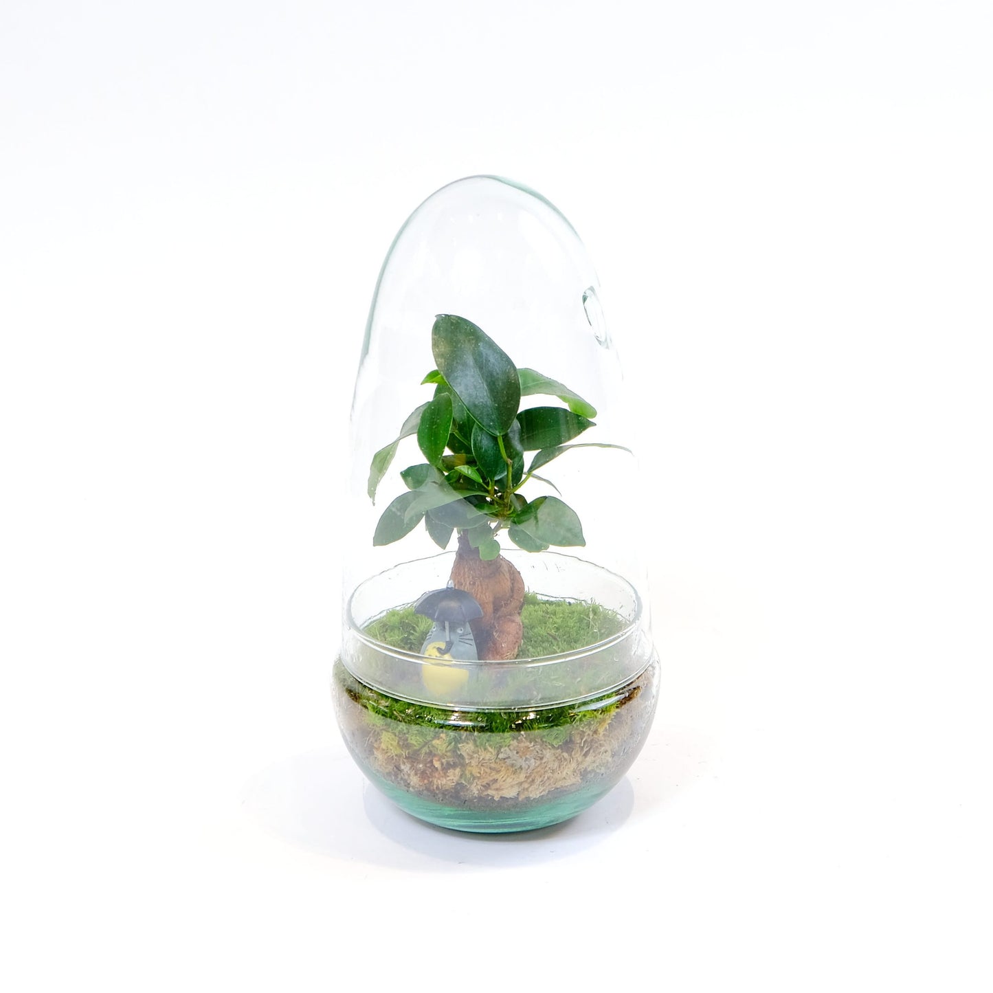 Ecosistema en huevo de cristal