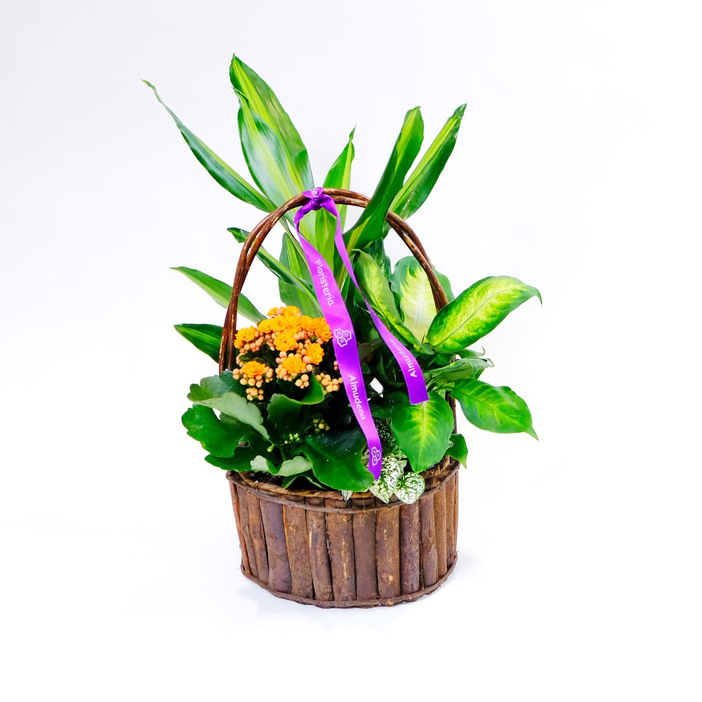 Cesta de plantas Cabañeros