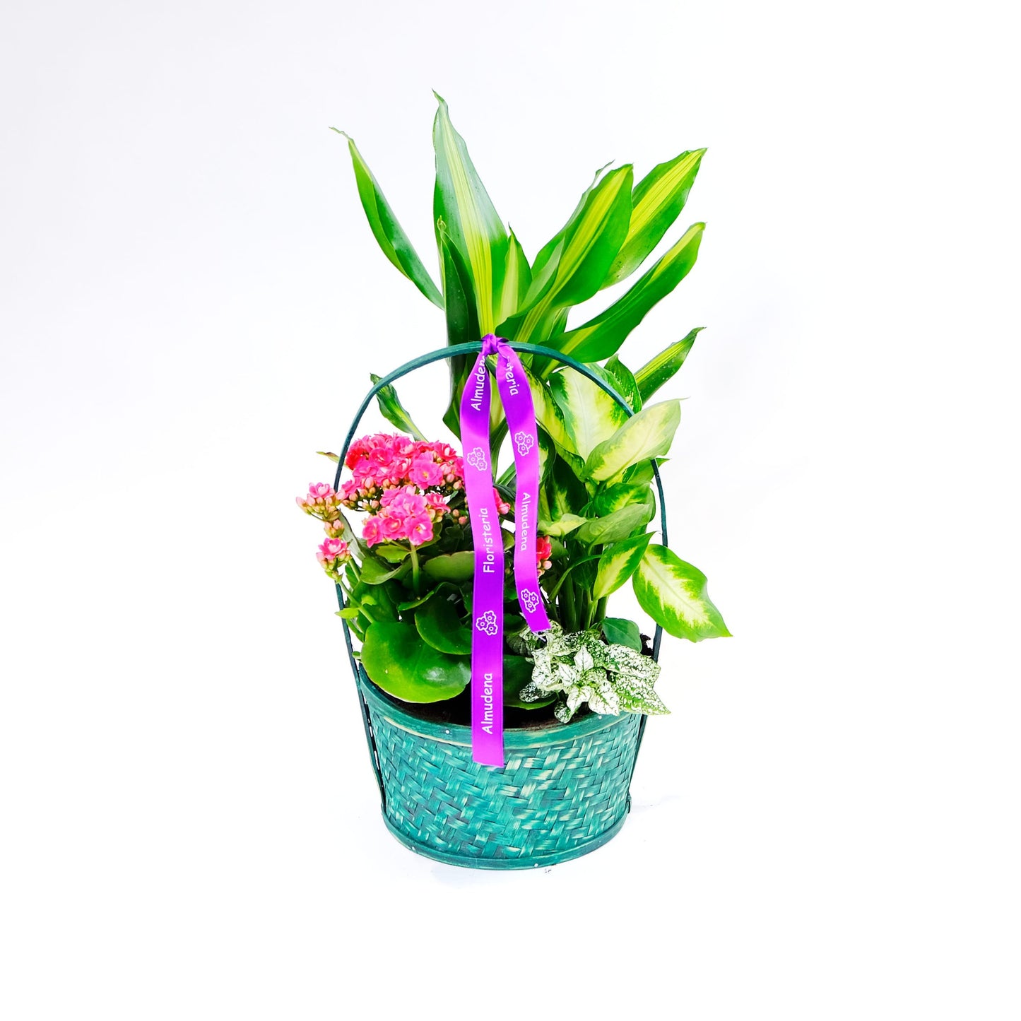 Cesta de plantas Irati