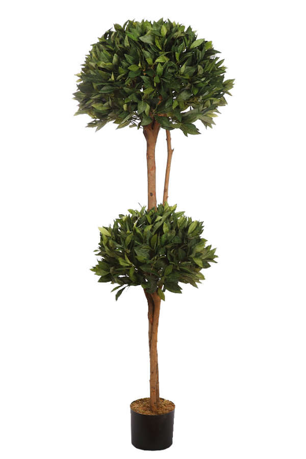 Laurel dos bolas